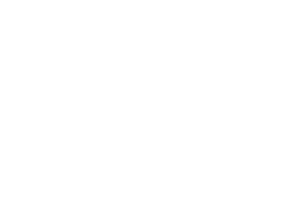 logo NRP weiss